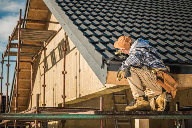 Best Roof Moss and Algae Removal  in Cashion, OK